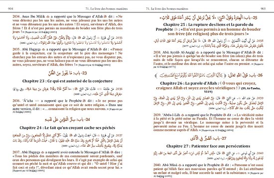 L'Abrégé du Sahîh Al-Bukhârî Bilingue Arabe/Français (At-Tajrîd As-Sarîh)