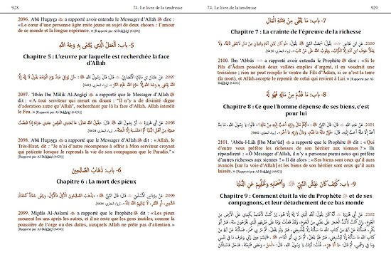 L'Abrégé du Sahîh Al-Bukhârî Bilingue Arabe/Français (At-Tajrîd As-Sarîh)