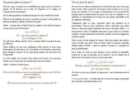 Pour Une Vie Heureuse - Remèdes Contre La Tristesse Et L'angoisse - Guide Spirituel Musulman