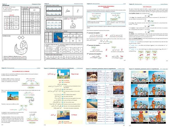 Livre et CD Audio L'arabe pour les Francophones Niveaux Débutant et Intermédiaire